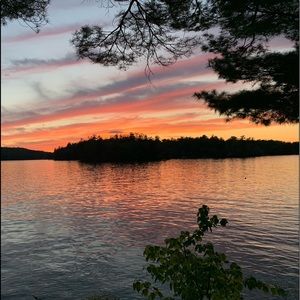 Meet your Posher, Robin